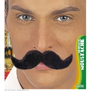 Moustache fermier noire