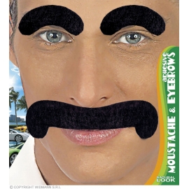 Moustache et sourcils gentleman adhésifs