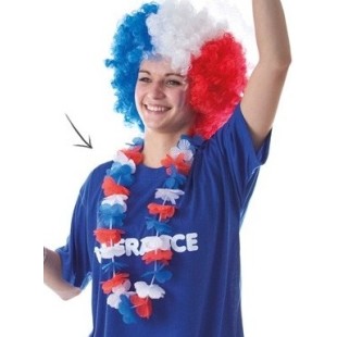 Collier rainbow rose