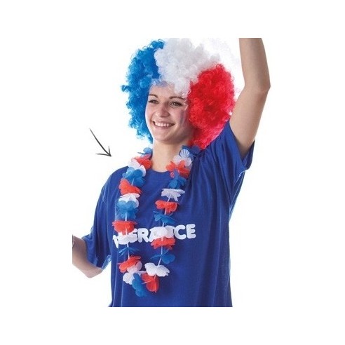 Collier rainbow rose