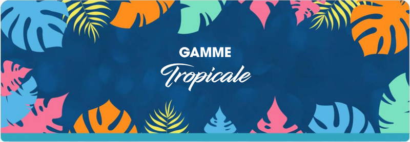 D&eacute;coration anniversaire th&egrave;me tropicale