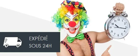 Livraison d&eacute;guisement Lille